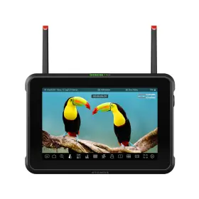 Atomshbrx1 Atomos Shinobi 7 Rx Inch Full Hd Touchscreen Hdr On-camera Monitor Supports 3g-sd