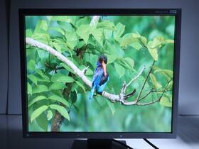 Eizo S1931 Flexscan 19 Inch Color Lcd Broadcast Studio / Medical Monitor