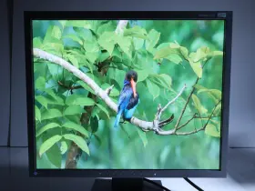 S1931 Eizo Flexscan 19 Inch Color Lcd Broadcast Studio / Medical Monitor