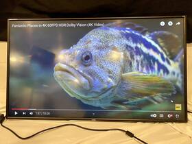 Flanders Scientific Am420 Professional Broadcast Monitor