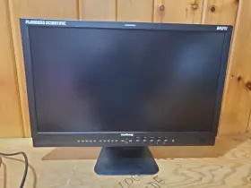 Bm241 Fsi Flanders Scientific Monitor