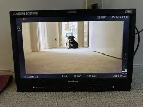 Cm171 Fsi Flanders Scientific Reference Monitor 17 Inch