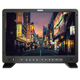 Osee 650971522300 Megamon 15 15.4 Inch Wuxga Mini-led Lcd Hdr Production Monitor With Gold-mount Kit