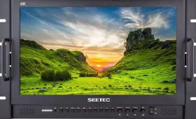 P173-9hsd-rm Seetec Director Monitor