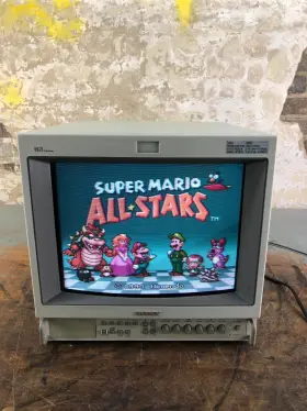 Pvm-1353md Sony A.1 E 20240827 Df.17 Trinitron 13 Inch Color Video Monitor For Retro Gaming Works