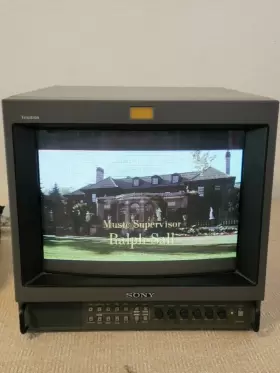 Pvm-1351q Sony A.5 B/20240205/jk.16 Trinitron 13 Color Video Crt Monitor Tv Retro Gaming Excellent