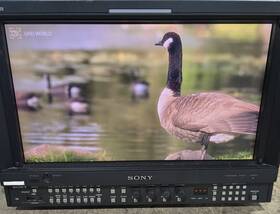 Sony Bvm-l170 Trimaster 17-inch Master Lcd Professional Monitor Bkm-16r