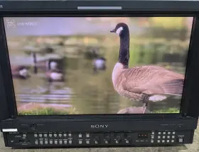 Bvm-l170 Sony Trimaster 17-inch Master Lcd Professional Monitor Bkm-16r