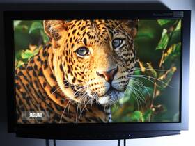 Sony S2111w Eizo Flexscan 21.1 Inch Color Lcd Broadcast Studio / Medical Monitor
