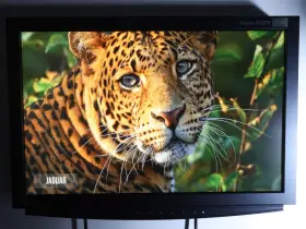 S2111w Sony Eizo Flexscan 21.1 Inch Color Lcd Broadcast Studio / Medical Monitor