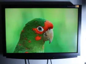 S2411w Sony Eizo Flexscan 24 Inch Color Lcd Broadcast Studio / Medical Monitor