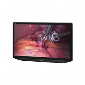 Sony X310mt Lmd 31 Inch 2d/3d 4k Widescreen Ips Lcd Monitor 10 Bit 435nit