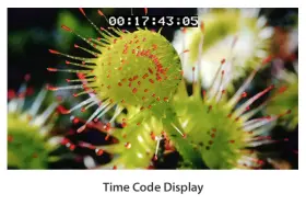 Lvm-328w Tvlogic 32 Inch 3g-sdi/dvi/hdmi Fhd Native Broadcast Qc 12-bit Lcd Monitor