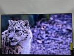 Sony Bravia 65" Series 4K Ultra Hd Tv Oled Smart Google XR65A95K Used. Price: $899.99.
