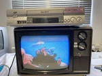 Jvc VM-14PSN Rare Portable Multinorm Video Monitor Broadcast From Dealer Gebraucht. Price: $1530.61.