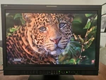 Jvc DT-V24G1 Professional Broadcast Monitor 3G/HD-SDI Dvi-d 12028 Hours Open. Price: $995.00.