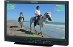 Jvc DT-E21L4U 21" Professional Hd Monitor Demo With Full Warranty Used. Price: $789.00.