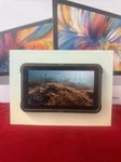 Atomos Ninja 5.2" 4K Hdmi Recording Monitor New. Price: $599.00.