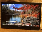 Sony PVM-A250 25" Trimaster El Professional Oled Monitor (3991 Hours) Used. Price: $3000.00.