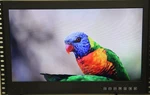 Tote Vision LED-1906HDMTR 19" Rack Mount Lcd Tv Monitor Minor Scratches Used. Price: $199.99.
