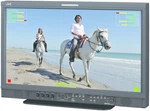 Jvc DT-E21L4U 21-INCH Multi-format Lcd Monitor (led Backlit) New. Price: $2247.50.