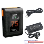 Kastar Battery Dtap Charger For Sony BVW-D600 BVW-D9 BVM-D9H1A BVM-D9H1E New. Price: $21.99.