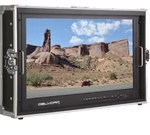Delvcam 28" 4K Ultra 3G-SDI & Hdmi Production Monitor Pickup In Dallas Texas Used. Price: $850.00.