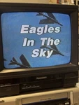 Panasonic 13" CT-1383Y S-video Pvm Crt Monitor Used. Price: $199.00.