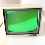 Rare Vintage Sakata SG-1000 Retro Gaming Monitor Low Serial Number Tested Nice! Used. Price: $149.00.
