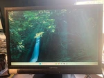 Hannstar Inch Wide Screen Tft Lcd Monitor Model JW199D Used. Price: $11.00.